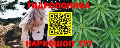стафф Рязань