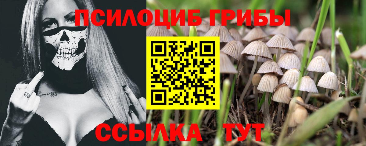 Галлюциногенные грибы прущие грибы Павлово
